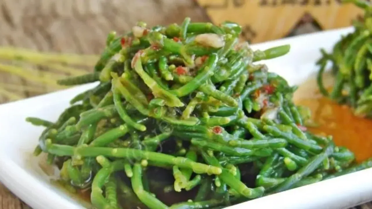 Guide Gastronomique de Bodrum : Des Herbes Égéennes aux Trésors de la Mer, que manger ?