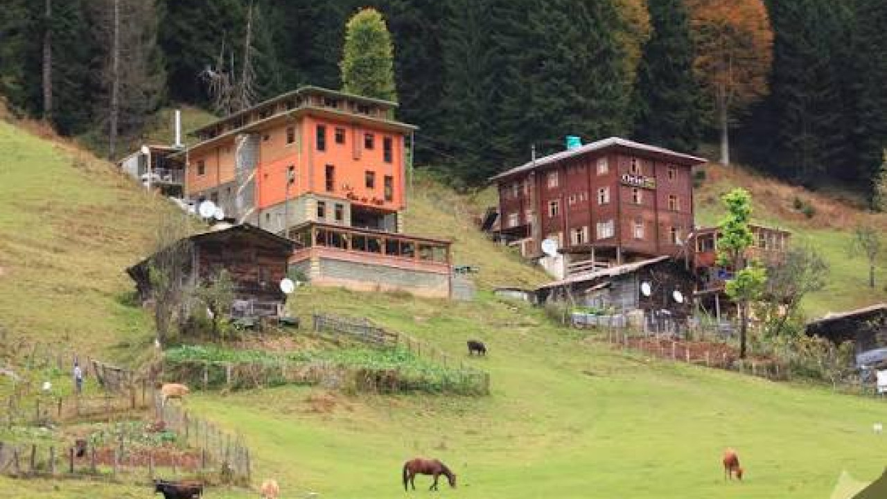 Guide des Plateaux de Rize : Ayder, Pokut, la Vallée de Fırtına et les Montagnes Kaçkar