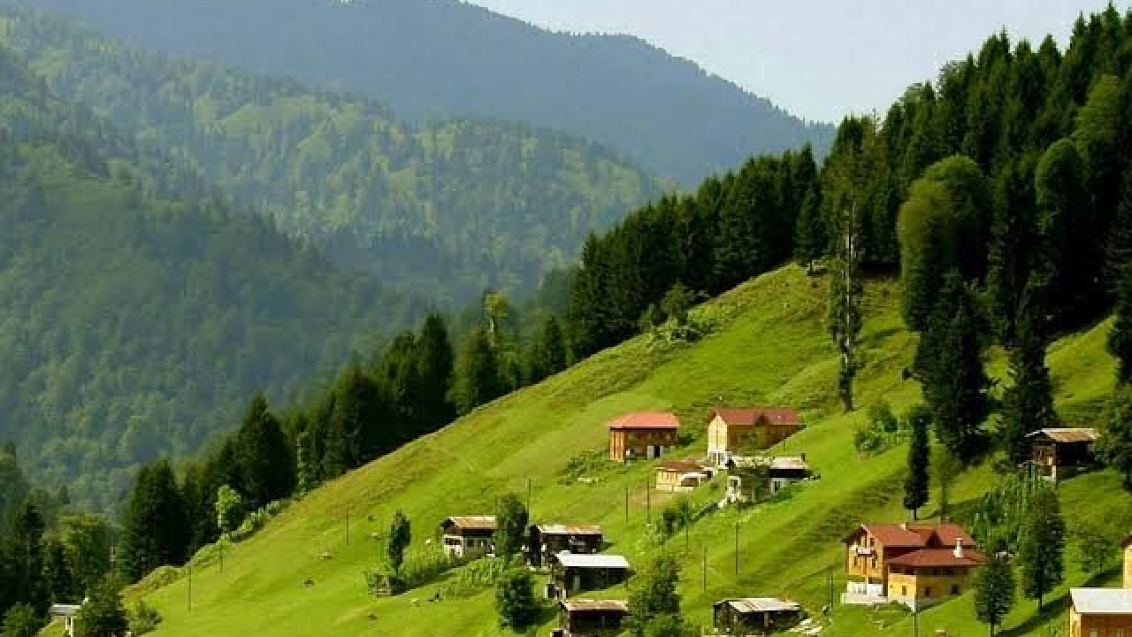 Trabzon Hamsiköy et Karadağ Yaylası : Votre guide des plateaux de la Mer Noire