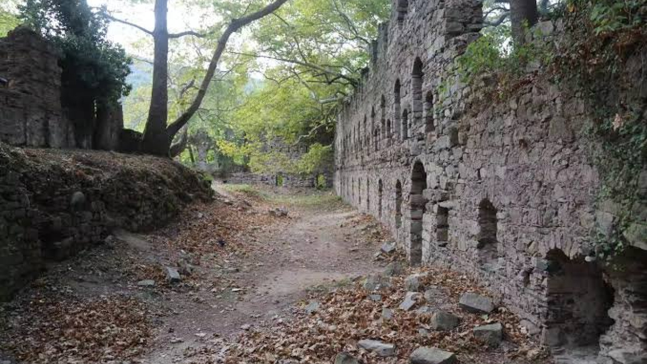 Karaca Arboretum and Yalova Hiking Routes: A Botanical and Nature Guide