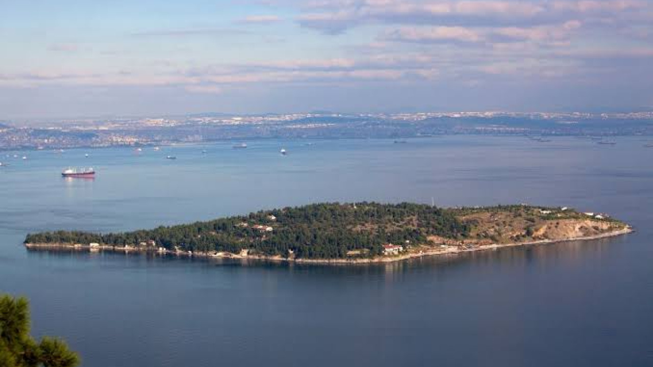 Guide des Îles des Princes à Istanbul : Visites et Transport