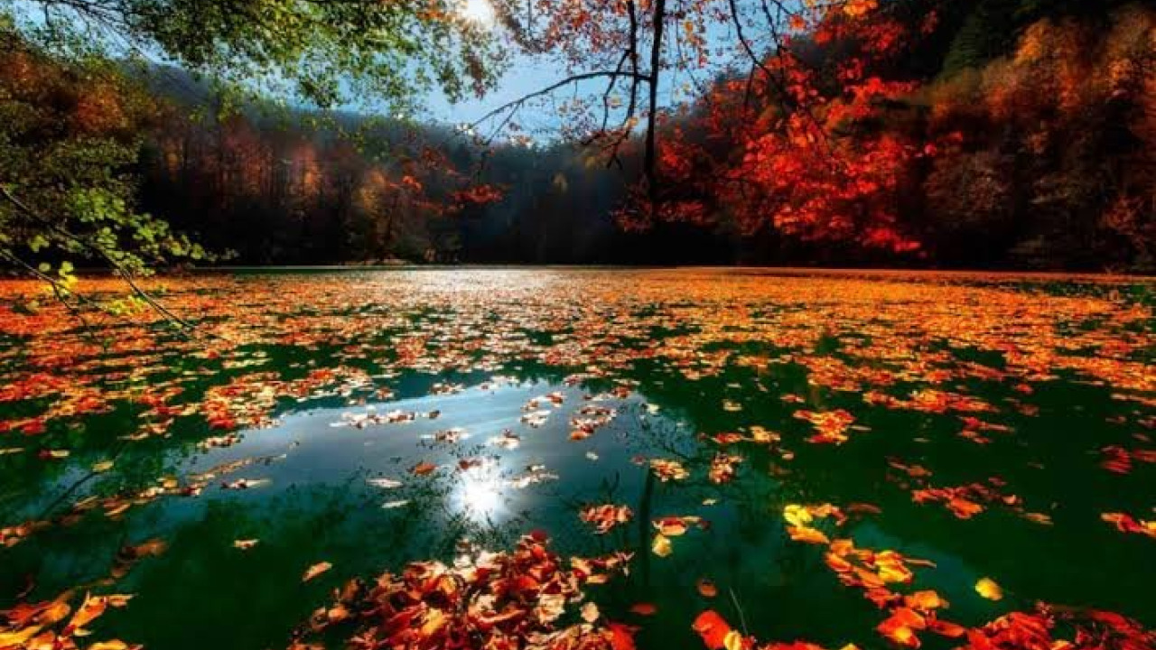Yedigöller National Park Guide: Camping & Itinerary for Bolu's Seven Lakes