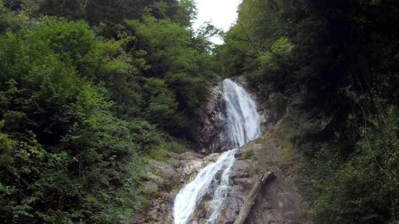 Sources Thermales de Ma'in et Cascades Chaudes : Une Étape Jordanienne au Cœur du Canyon