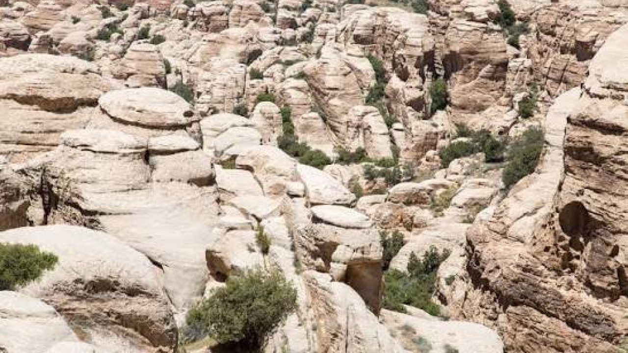 Dana Biosphere Reserve Travel Guide: Canyons, Wildlife, and Hiking Trails