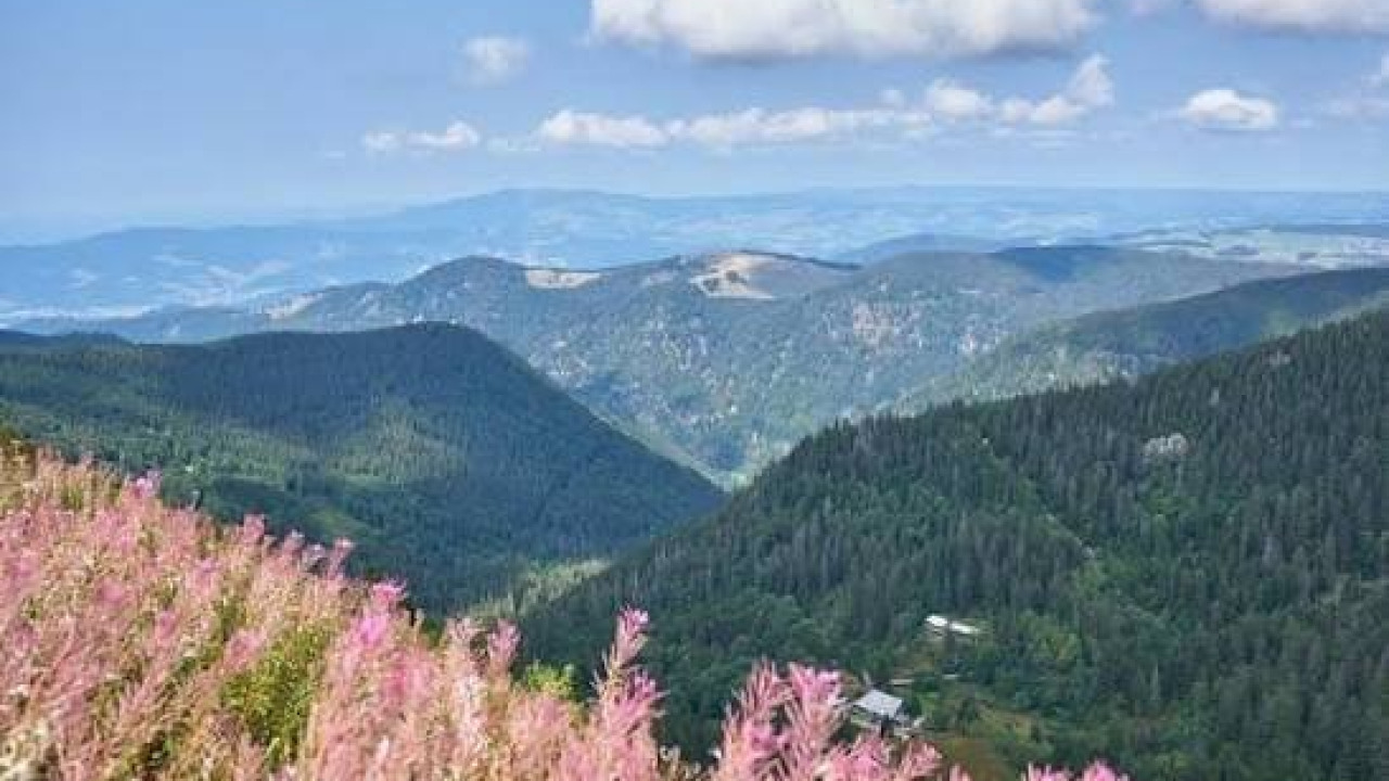 Guide de Voyage en Forêt-Noire (Schwarzwald) : Triberg, Titisee et Feldberg