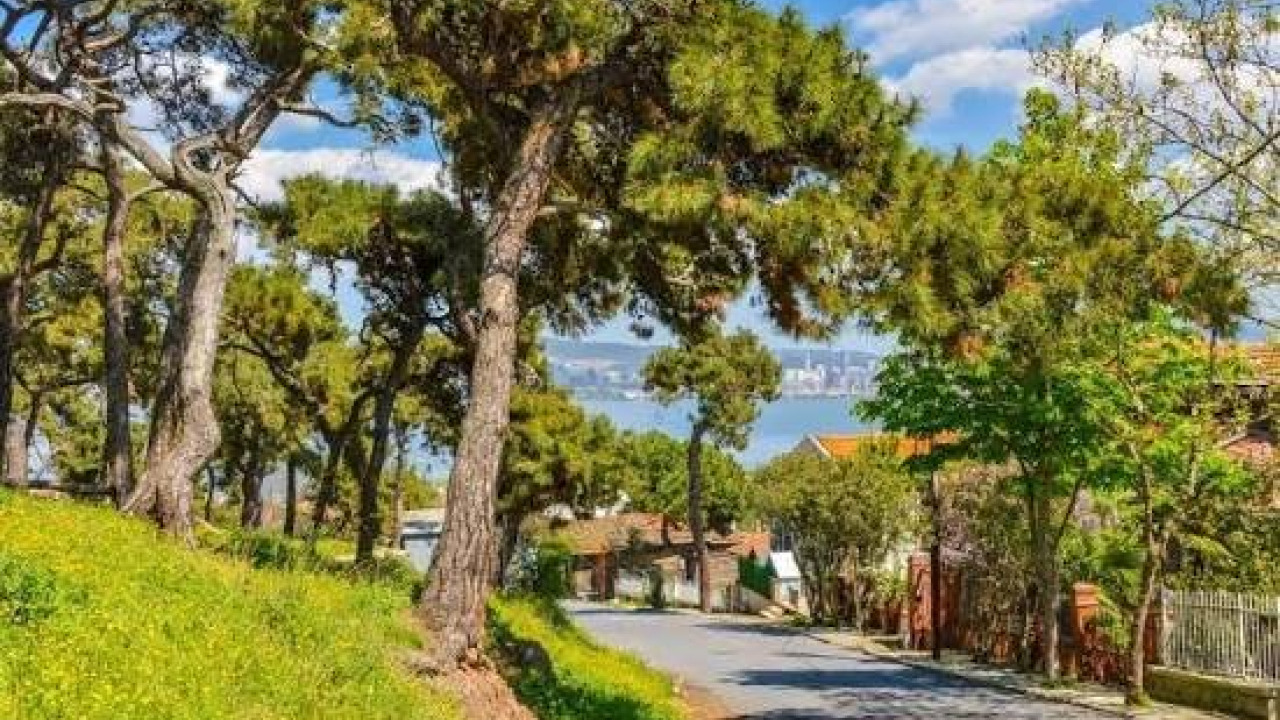 Le Choix de la Saison aux Îles des Princes : Quel Mois Vous Convient le Mieux ?