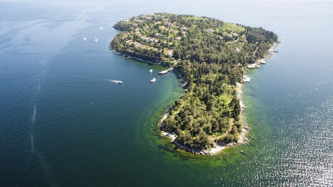 Excursion à Büyükada et Itinéraire d'une Demi-Journée : Du Quai à Yücetepe