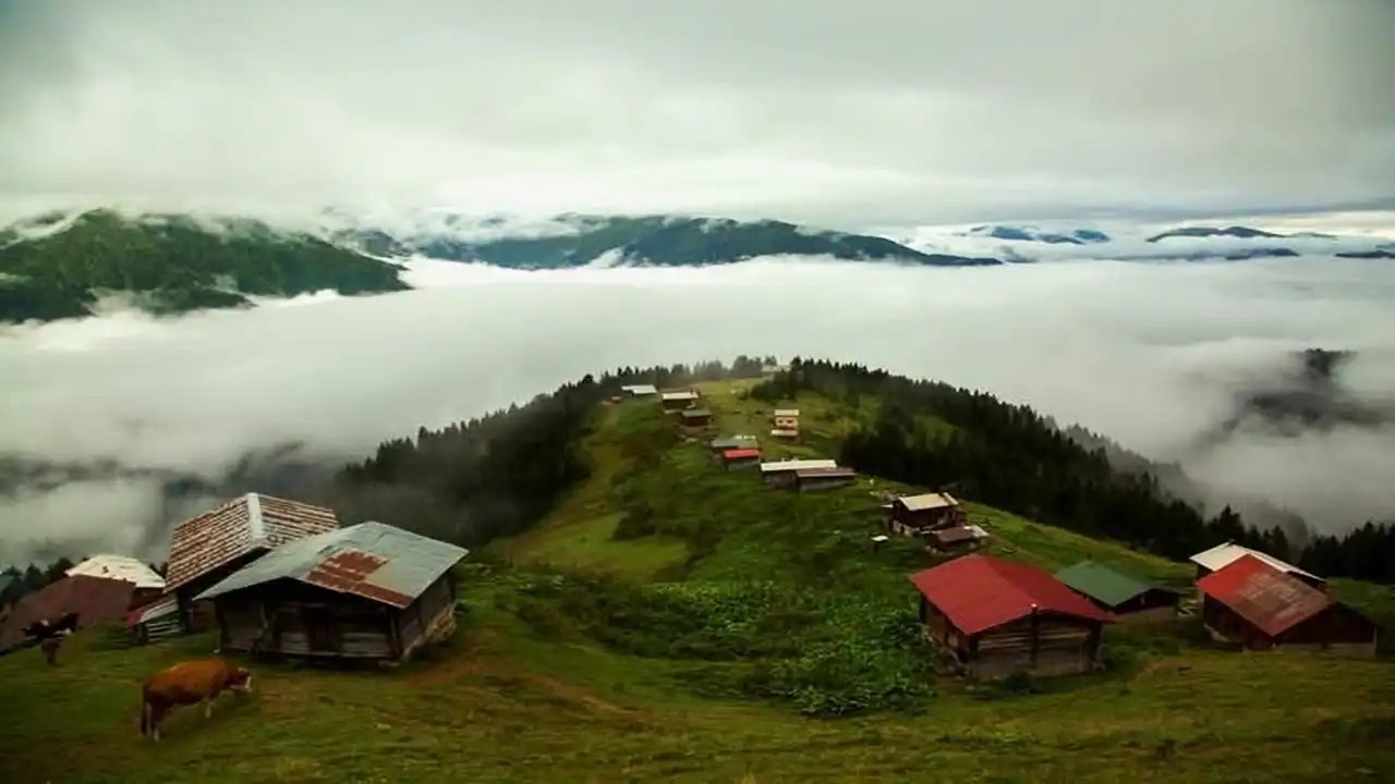 Rize Pokut Yaylası Sis Bulutu ve Doğa Yürüyüşü Rehberi