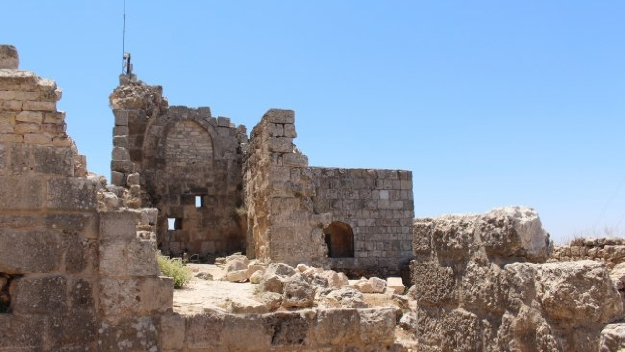 Ajloun Kalesi 観光ガイド：入場料・営業時間・森林保護区を解説