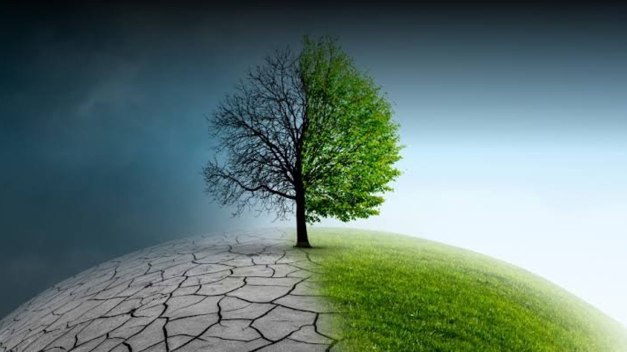 What is COP31? Goals, Objectives, and the Journey from the Paris Agreement to Antalya