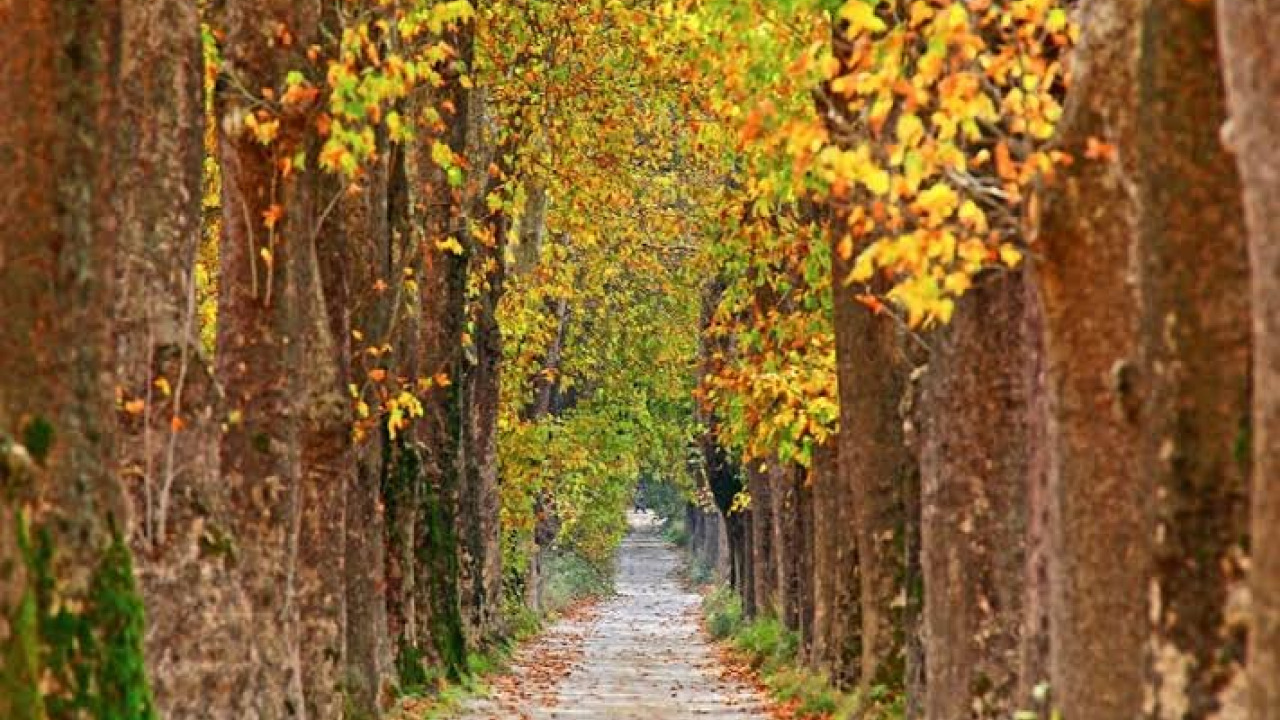 Best Photo Spots in Bursa: A Photographer's Guide