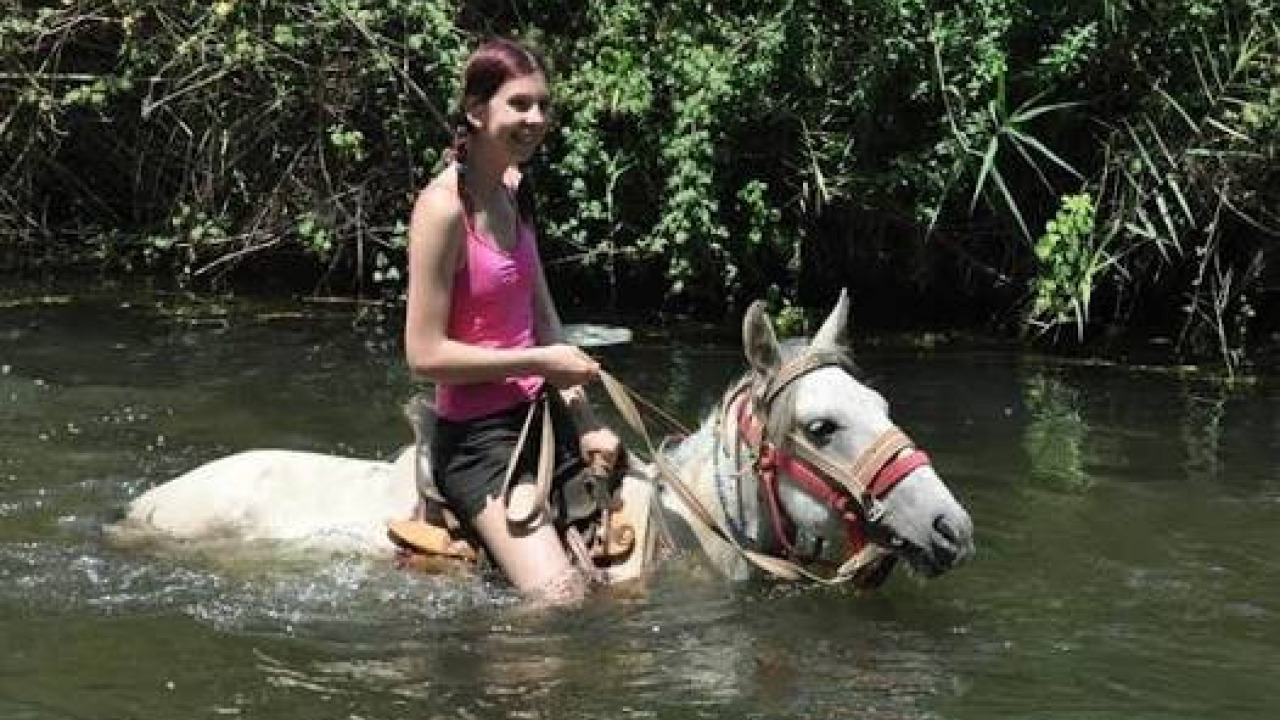 Gökova Eucalyptus Path & River Horse Safari: The Ultimate Forest Trail Guide