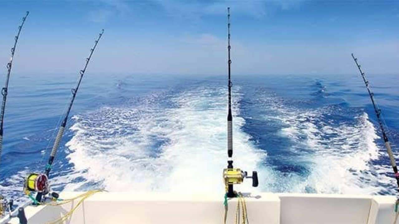 Deep Sea Fishing in the Mediterranean: Your Guide to Antalya Trolling and Bottom Fishing