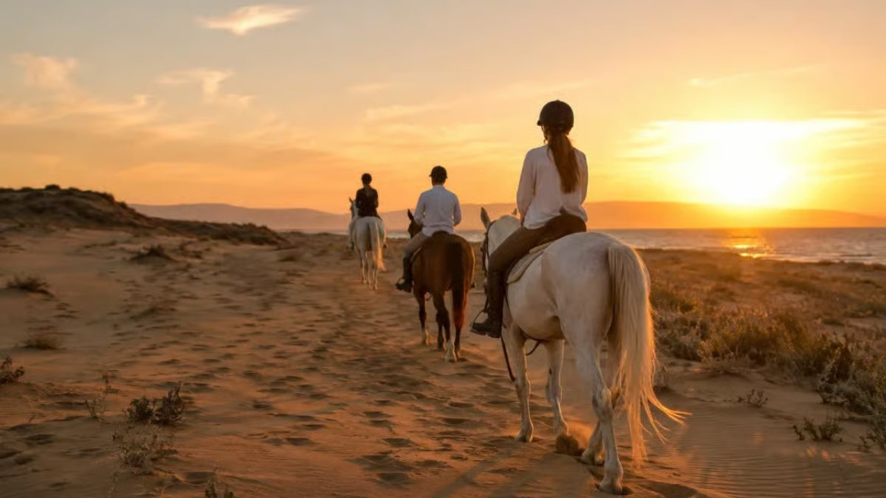 From Pine Forests to Pristine Sands: The Ultimate Antalya Horse Safari Guide