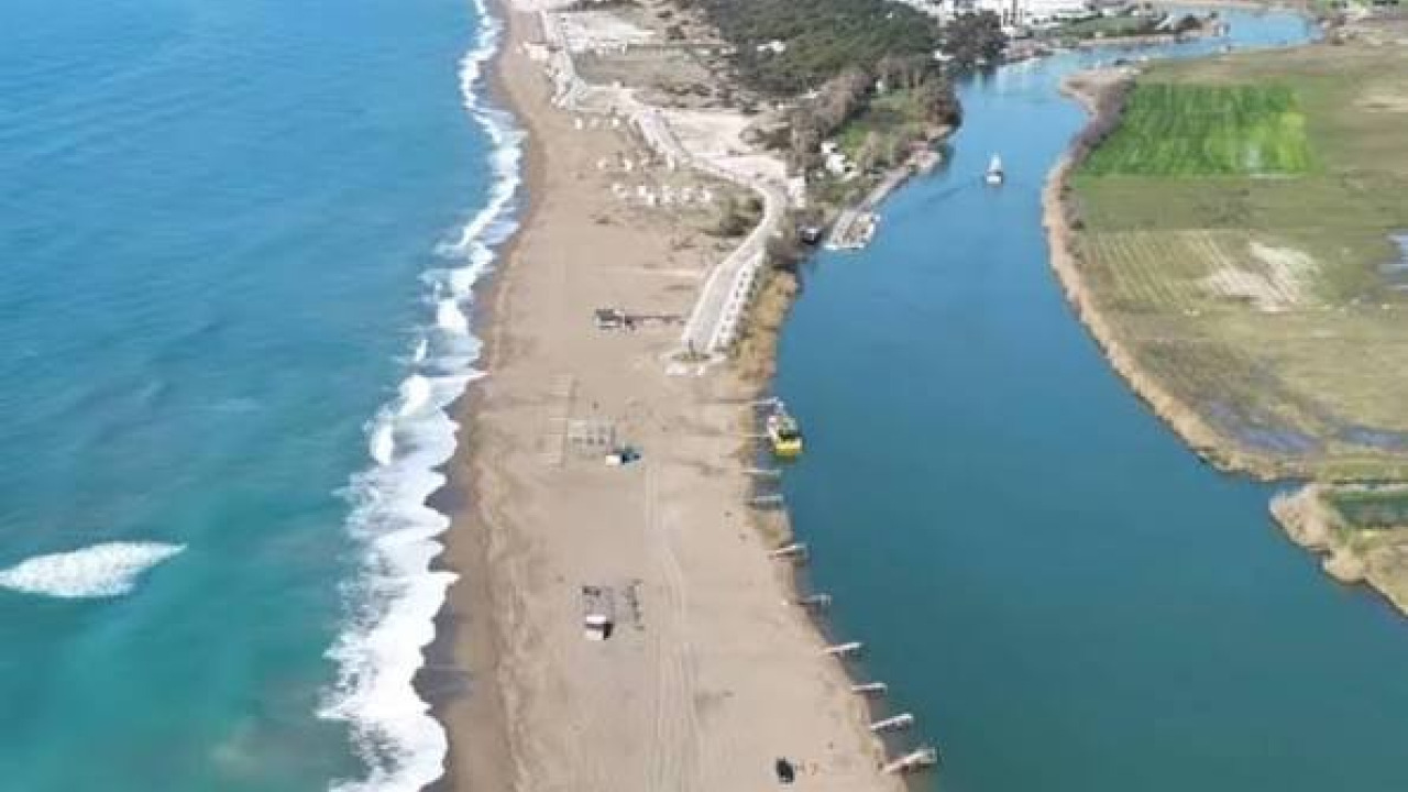 Dolphin Watching from Manavgat River to the Open Sea: A Side Dolphin Island Guide