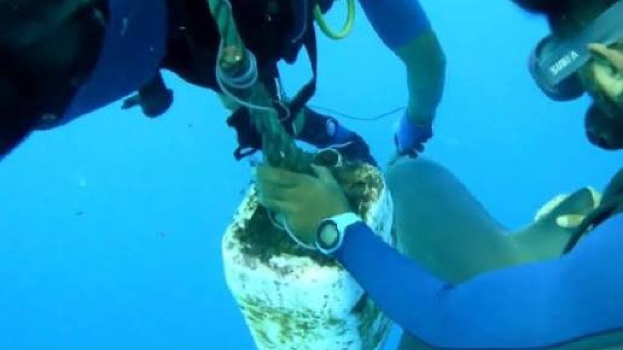 Sotto il riflesso delle falesie: Guida alle immersioni a Konyaaltı e Sıçan Adası