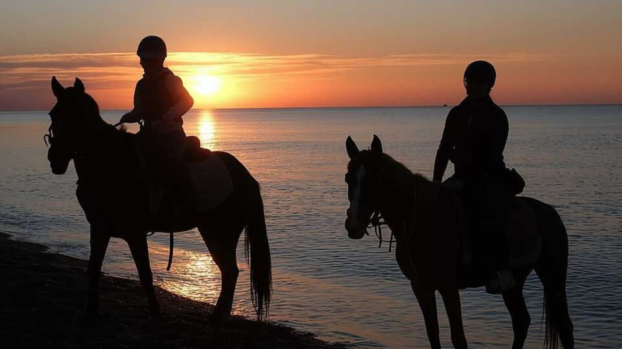 Άγος Safari στα Δάση της Lara και Kundu: Οδηγός Διαδρομών Παραλίας και Ιππασίας