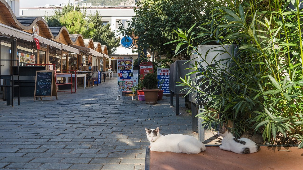Dove il Mediterraneo incontra l'Egeo: Kaş o Fethiye? Attività, Calette e Stili di Vita
