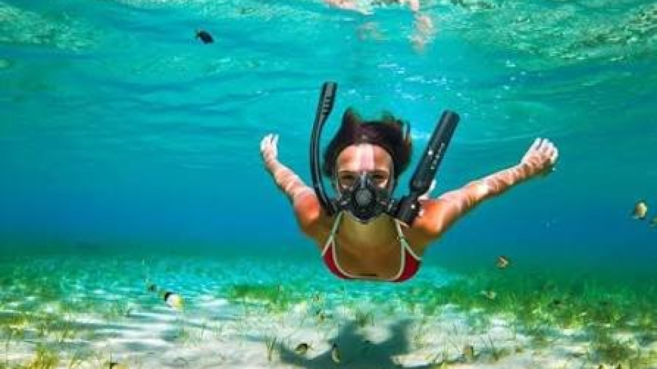 Immersione nel Blu: Bombola o Snorkeling? Attrezzatura, Visibilità e Sicurezza per l'Esplorazione Subacquea