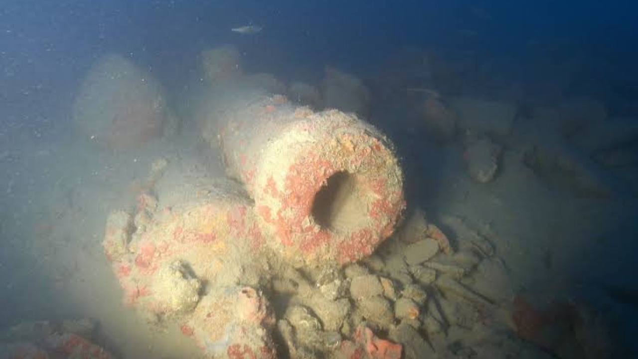Il Mondo Segreto dell'Egeo: Guida alle Immersioni e Barriere Coralline di Didim