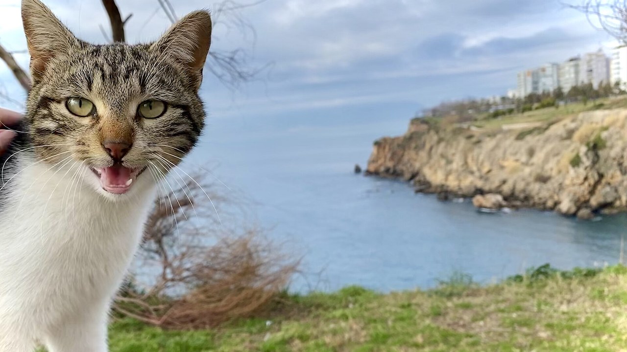 Akdeniz'in Mavi Sularına Karışan Güzellik: Aşağı Düden Şelalesi ve Lara Plajı Gezi Rehberi
