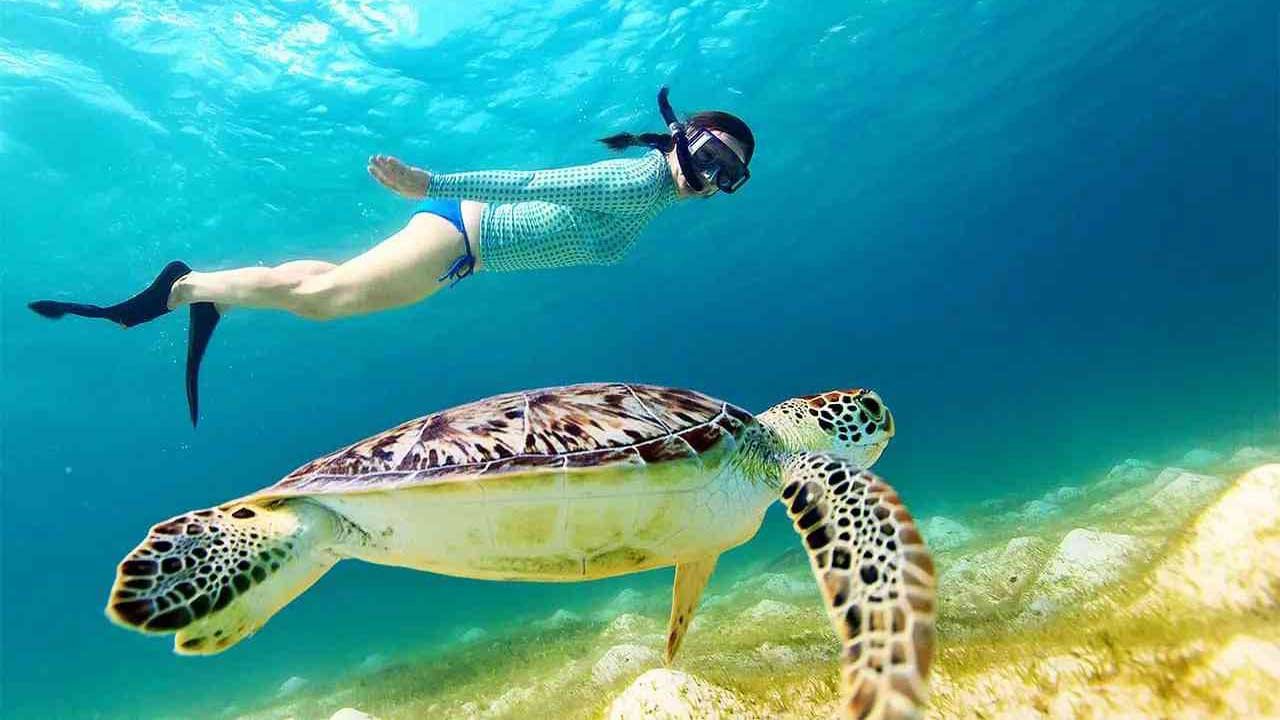 Snorkeling in Kuşadası: Best Spots, Gear & Expert Tips