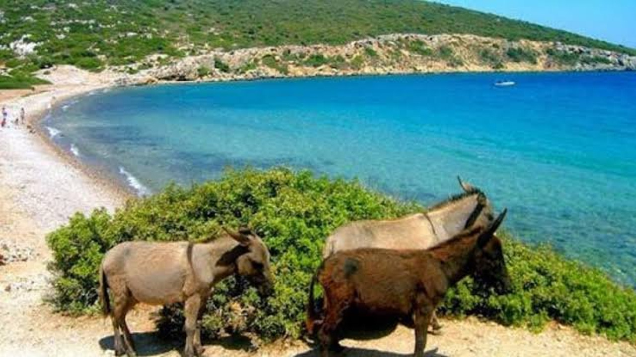 Les rivages azur et venteux de l'Égée : Guide de l'île Eşek et des criques de Çeşme
