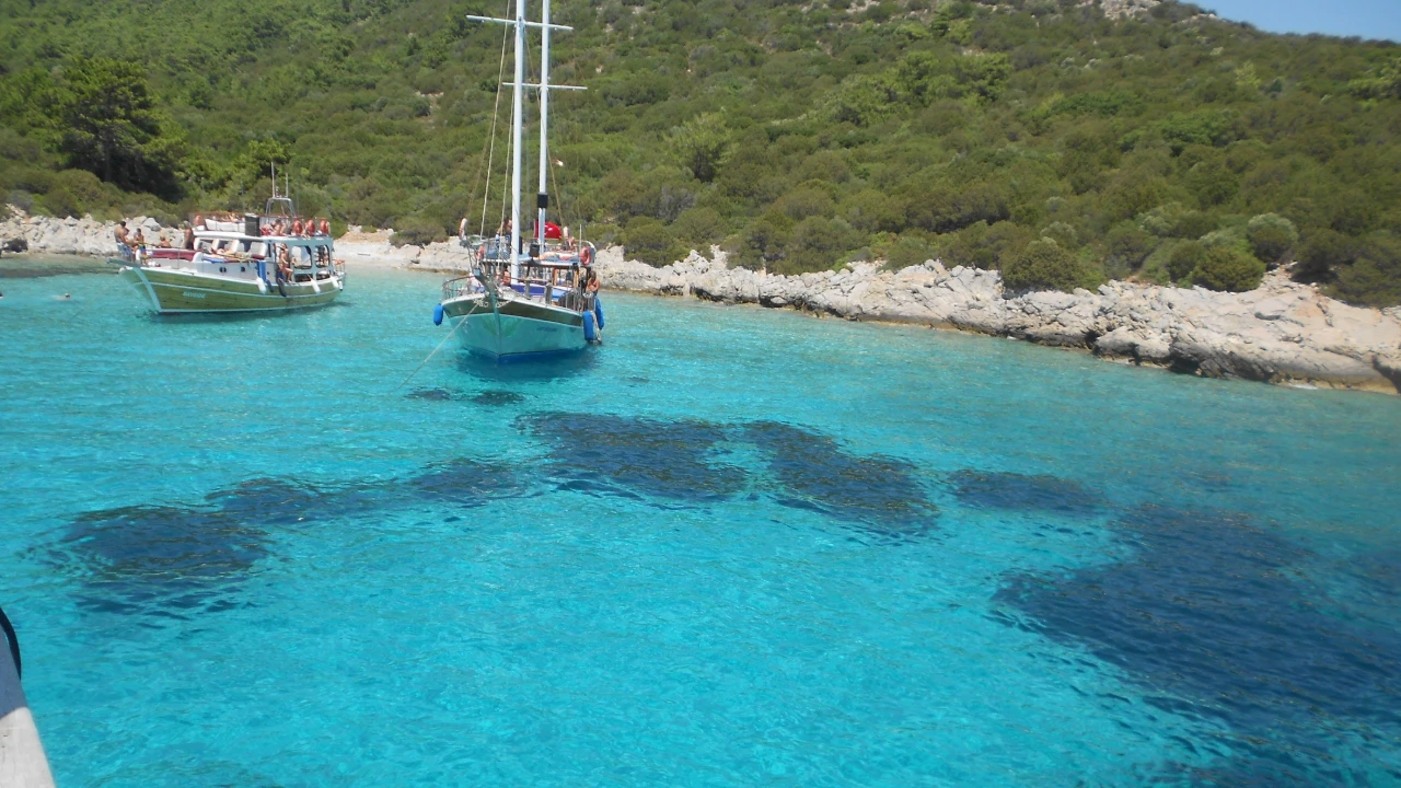 Bodrum: Crociera all'isola di Orak e soste per nuotare
