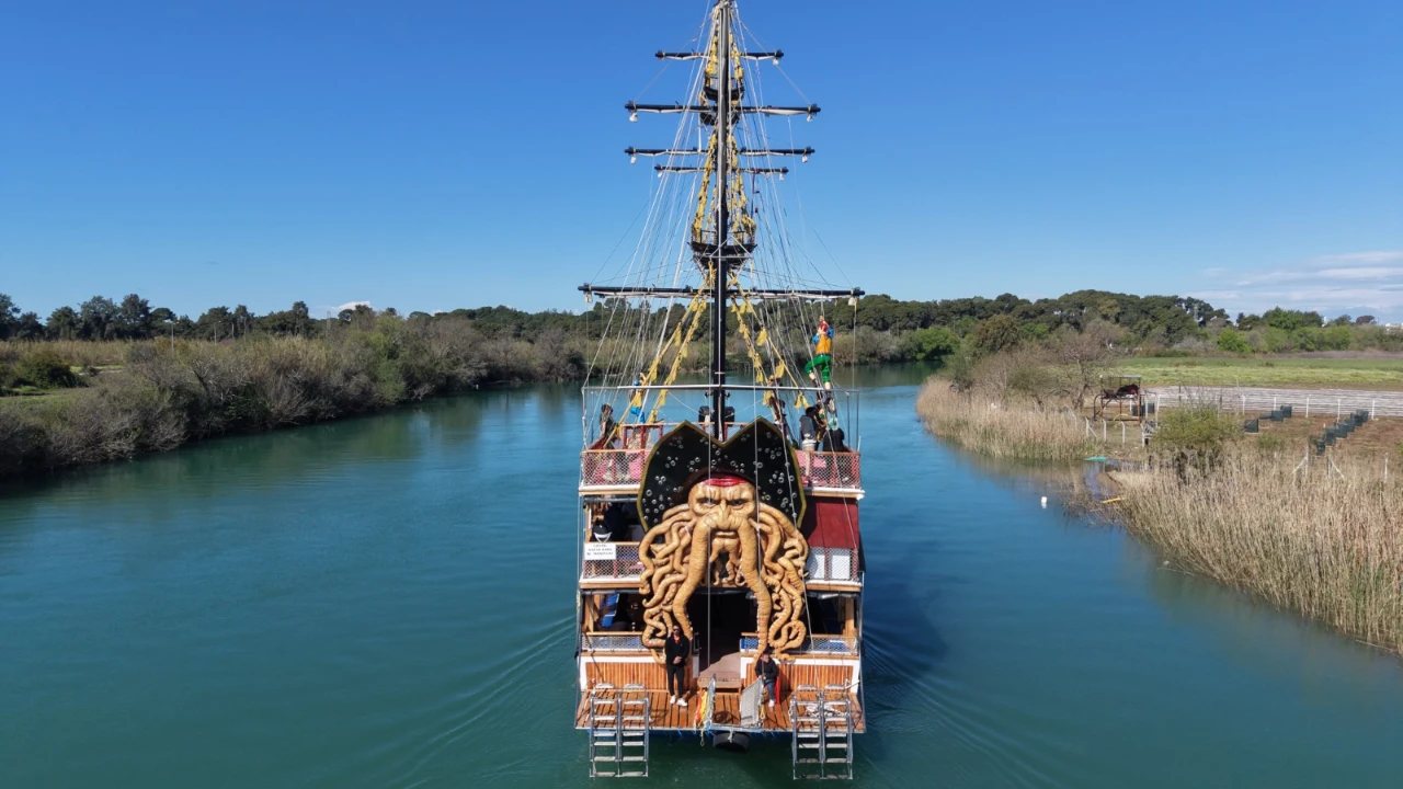 Side: Dolphin Island Boat Trip with Lunch