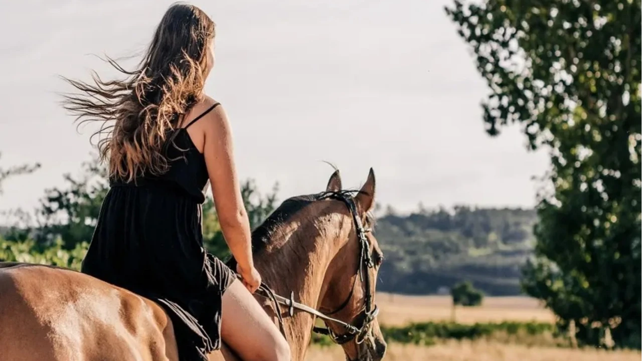 Bodrum: At Safari Experience (Transfer Included)