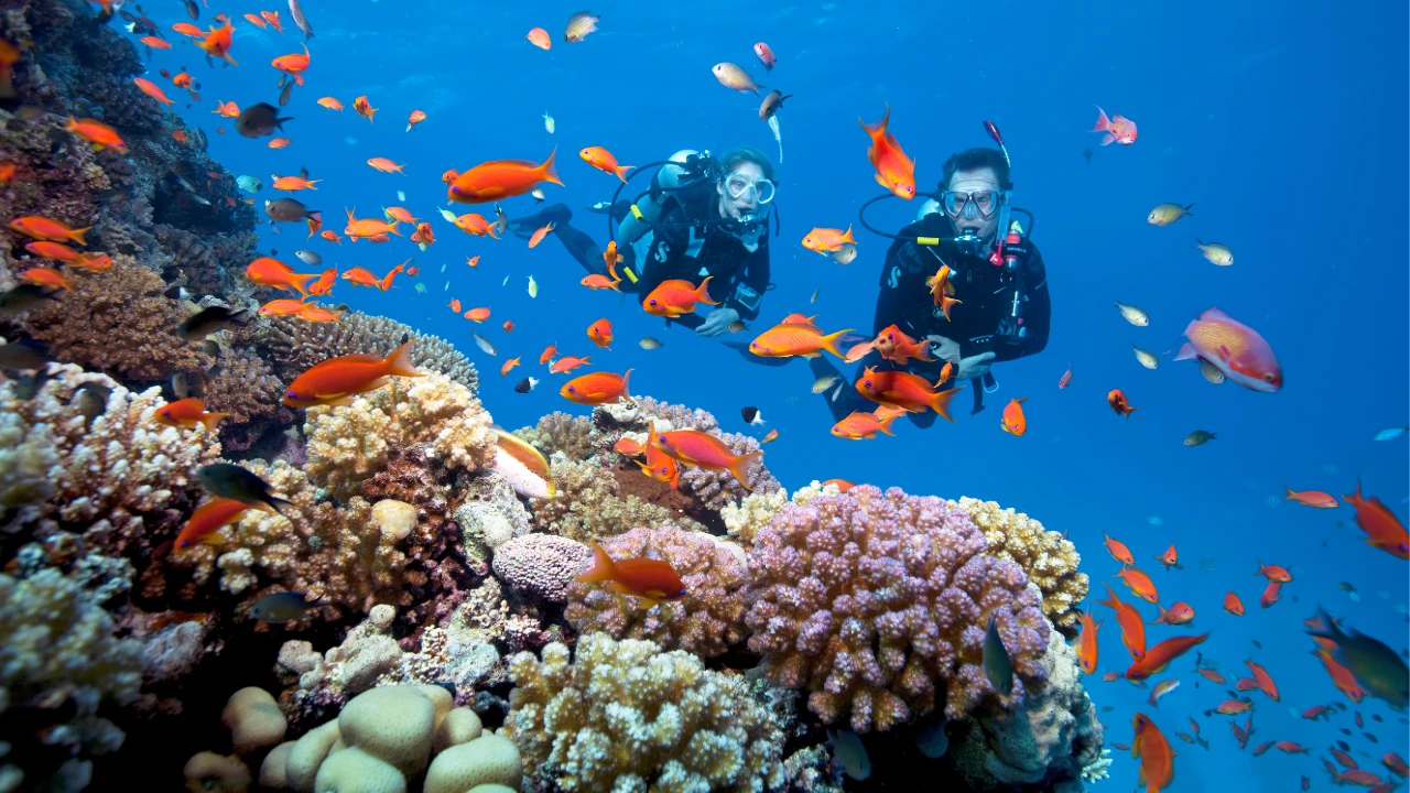Mersin: Scuba Diving Tour