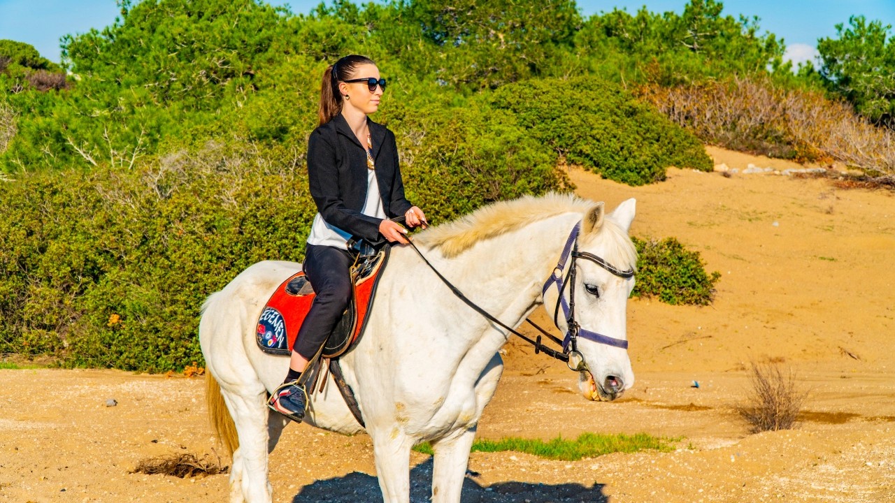 Antalya Lara: At Safari Tour