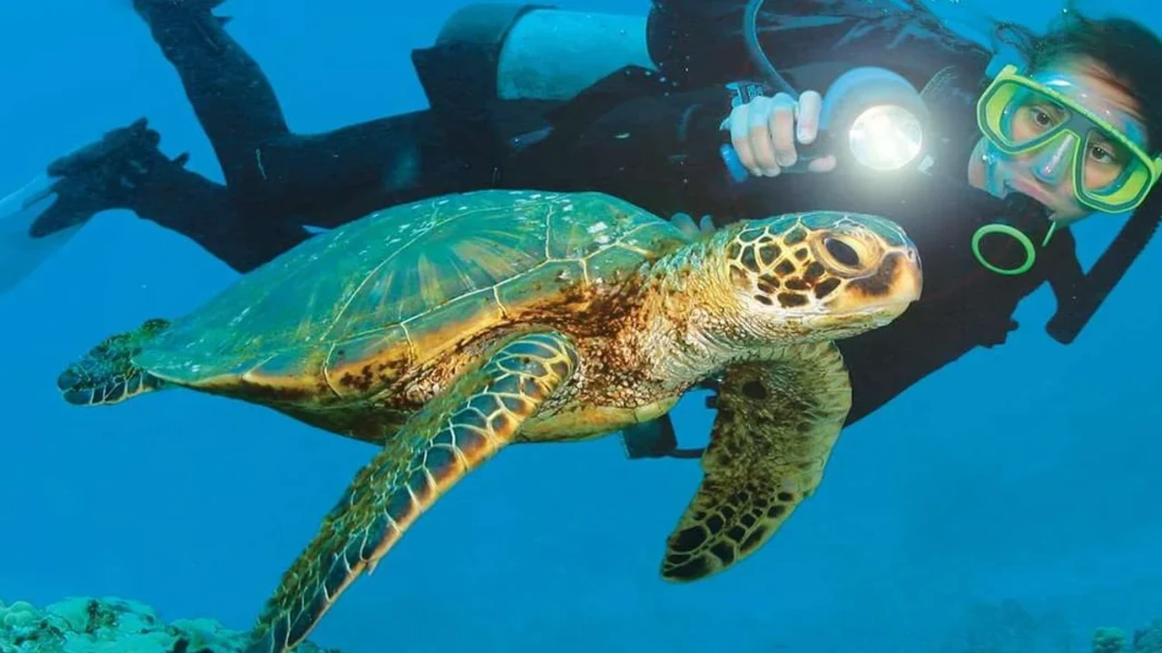 Alanya: Scuba Diving Tour