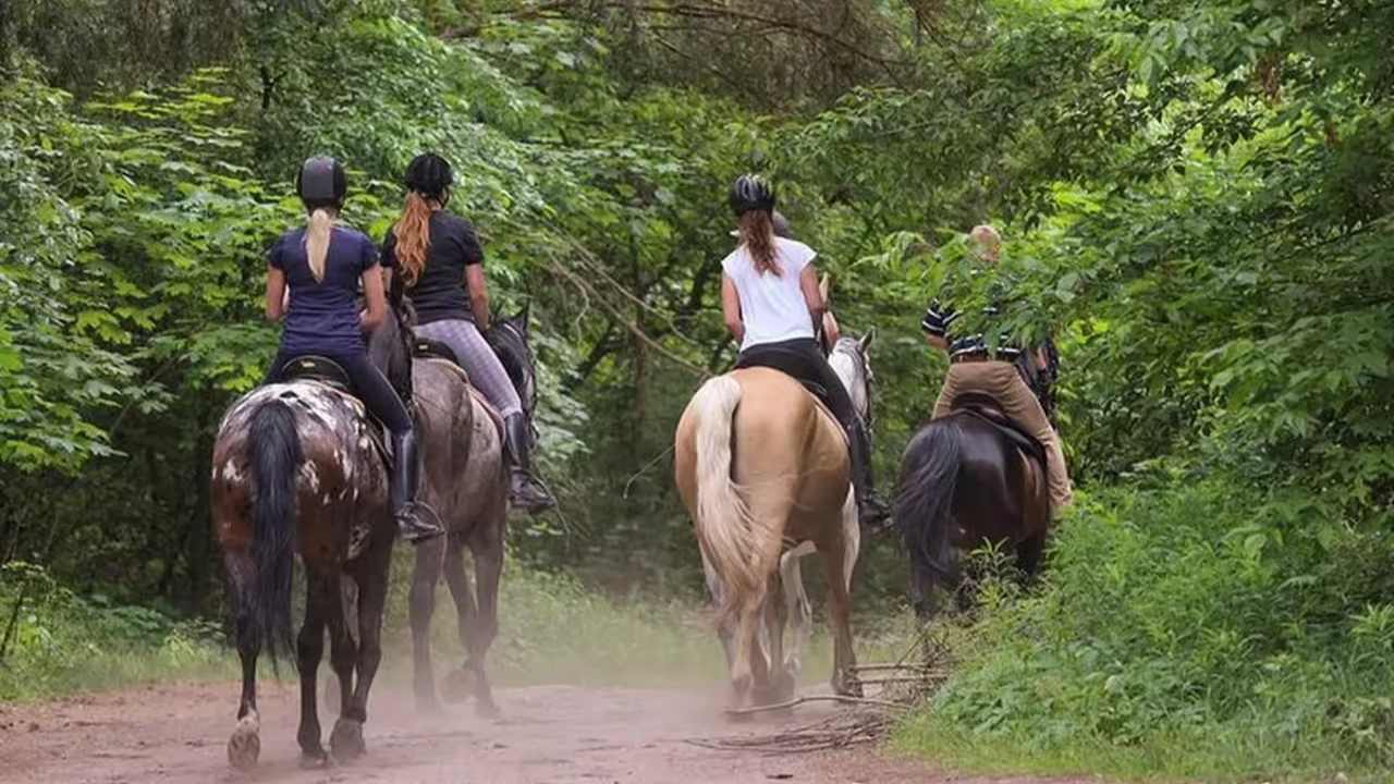 Expérience d'équitation à Fethiye (service de transfert inclus)