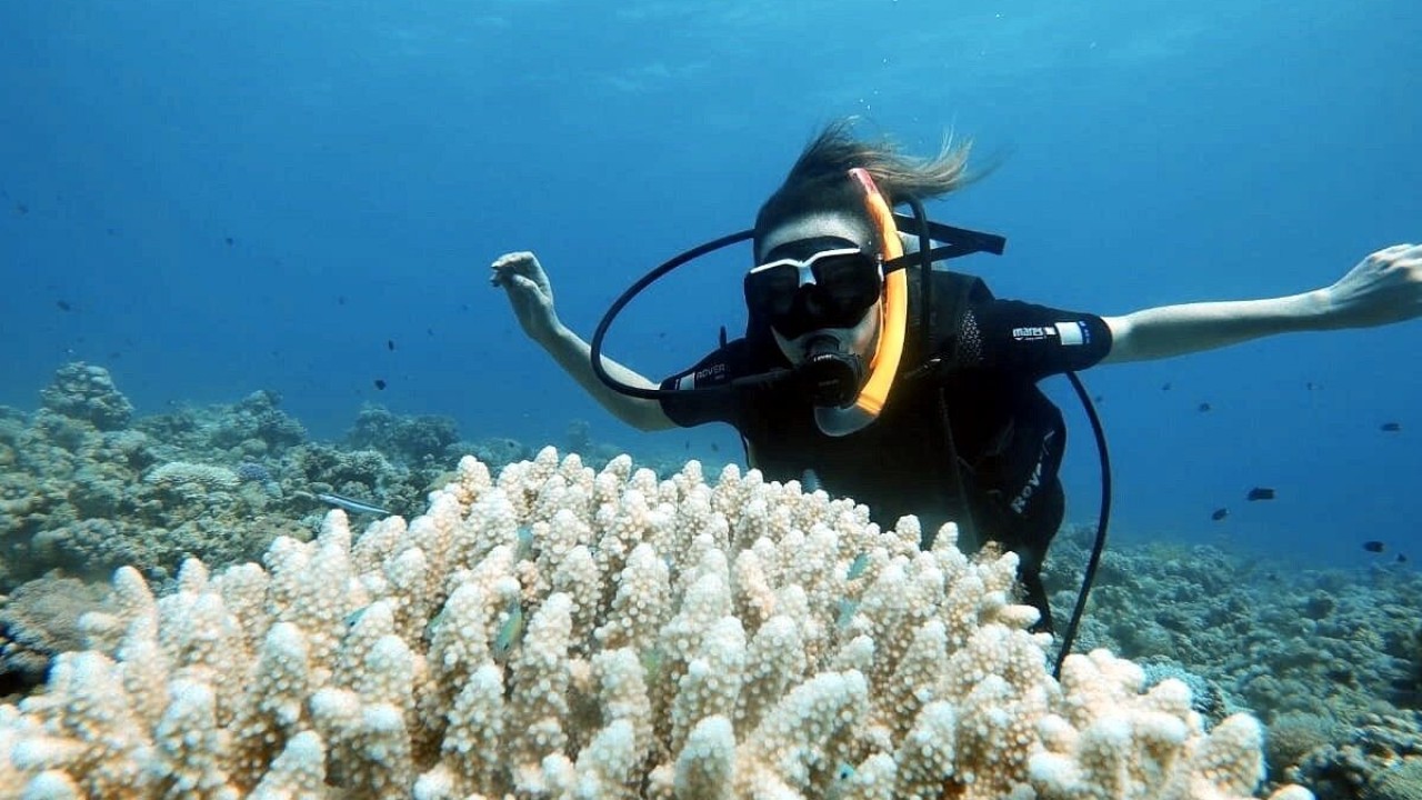 Aqaba: Geführte Rotes Meer Bootstauch-Erlebnis (Mittagessen inklusive)